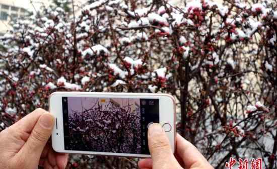 青海部分地区出现罕见暴雪天气 部分班车停运