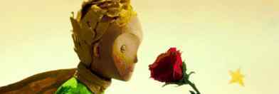 小王子与玫瑰花 连载悦读 |《小王子》4-小王子与玫瑰花