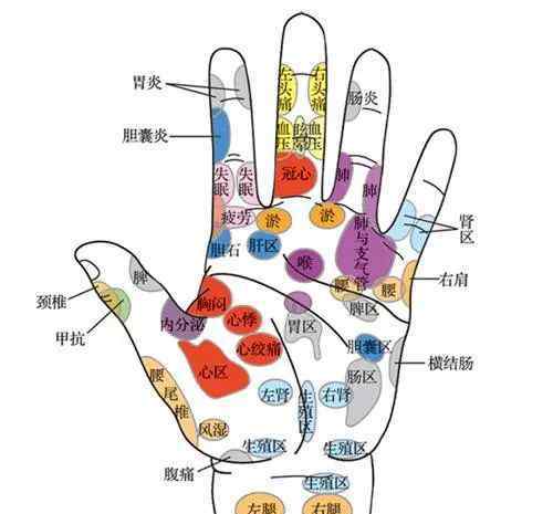 手上穴位 人體手部穴位圖(高清詳解) 手掌穴位圖解大全