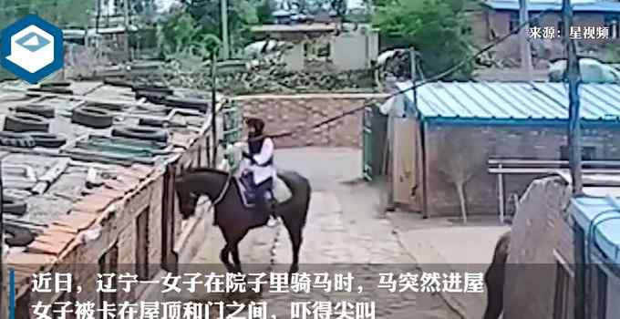 社死现场！女子在院子里骑马 结果马自己进屋女子被挂房梁上