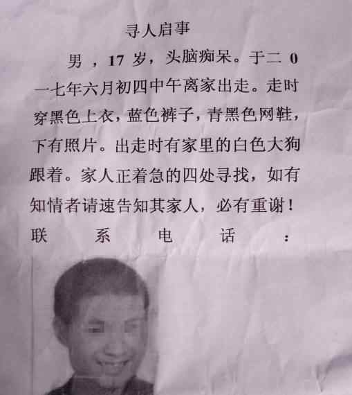 智力障碍小主人走丢 忠犬守护8昼夜不离不弃