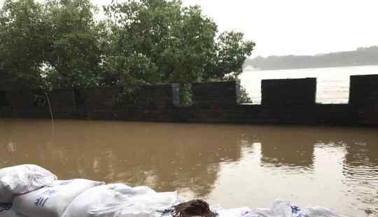 浙江遭暴雨侵袭 钱塘江流域暴发大洪水