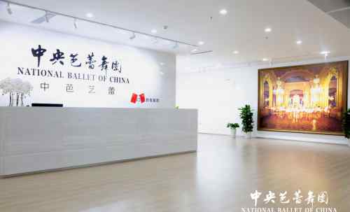 中央芭蕾舞团中芭艺蕾南京艺术教育基地首次对外招生面试