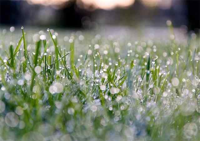 上巳节是什么节日 上巳节是什么节日